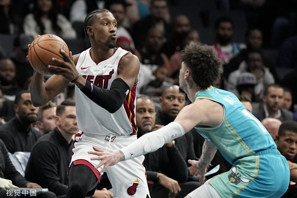 细腻盘带的 细腻盘带的