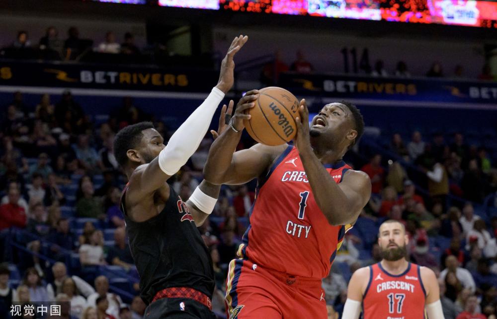 的职业生涯 的职业生涯