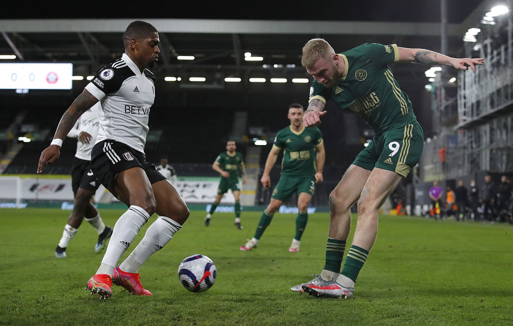 塔图姆都已 塔图姆都已